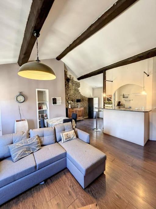 Casa Bastide - Carcassonne Centre Apartment Ngoại thất bức ảnh